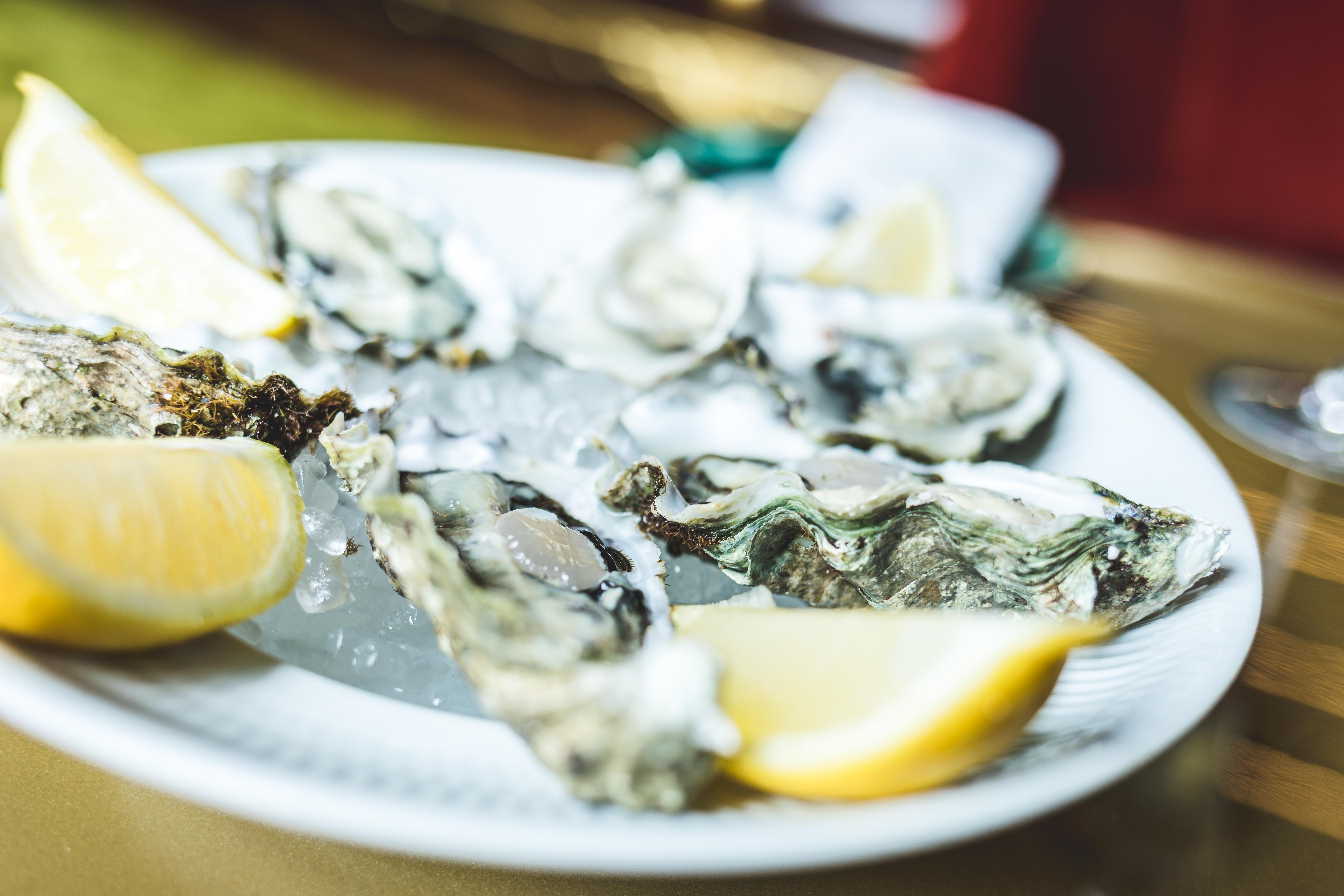 Vila Foz Hotel & Spa - Member Of Design Hotels OOporto Exteriör bild Oysters on ice with lemon